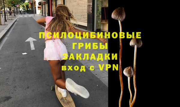 ПСИЛОЦИБИНОВЫЕ ГРИБЫ Яровое