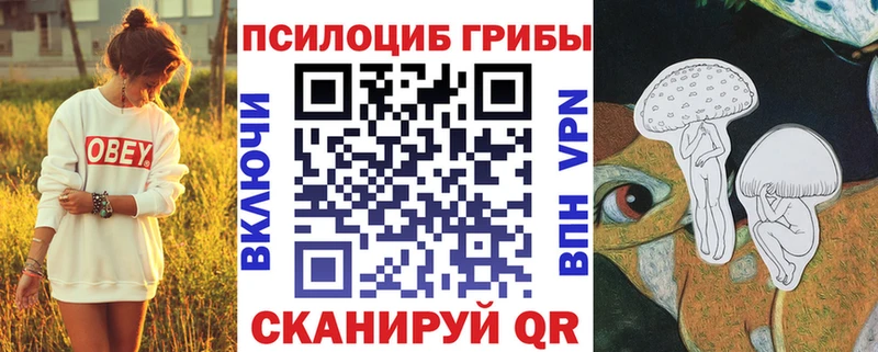 Псилоцибиновые грибы GOLDEN TEACHER Харовск